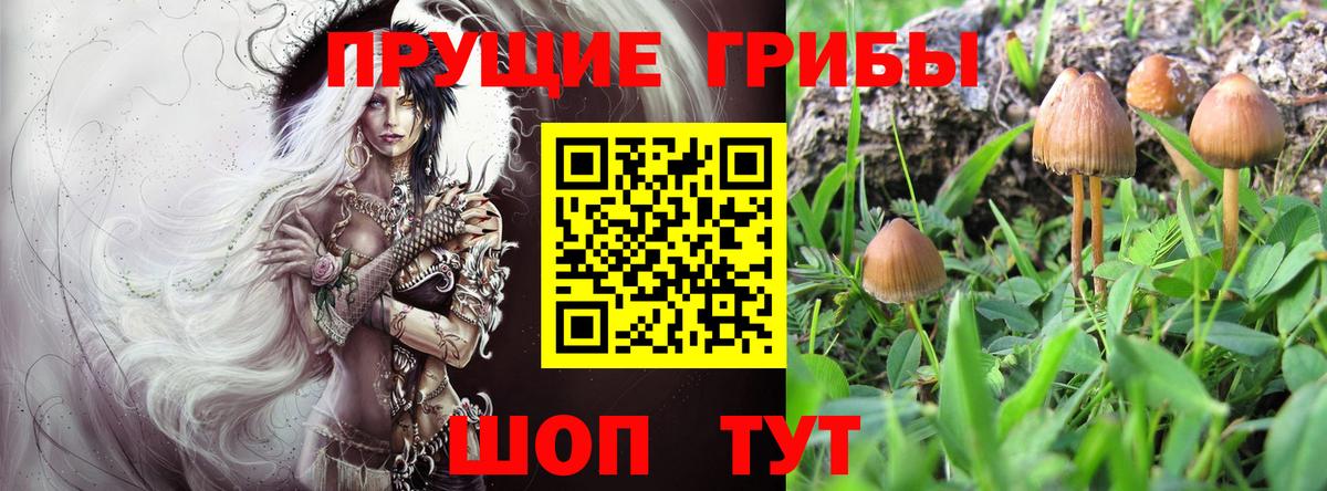Псилоцибиновые грибы ЛСД  Вход с VPN  Краснознаменск 